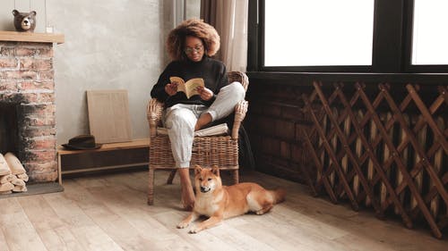 有关＃室内, 内部, 动物的免费素材视频