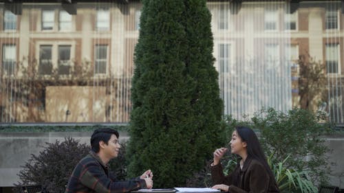 有关人, 公园, 天性的免费素材视频