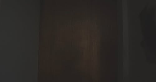 有关住所, 家伙, 内部的免费素材视频