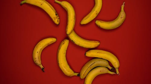 有关停止运动, 动画, 成熟的免费素材视频