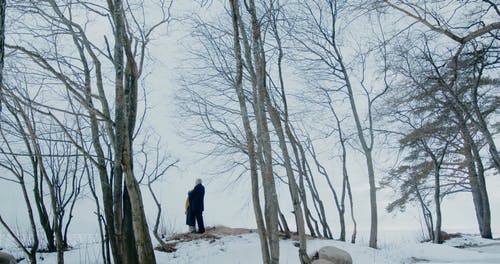 有关@户外, 一对, 一起的免费素材视频