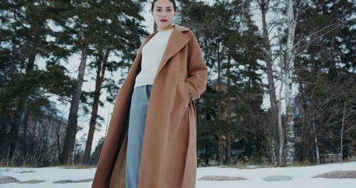 有关低角度拍摄, 假期, 冬季的免费素材视频