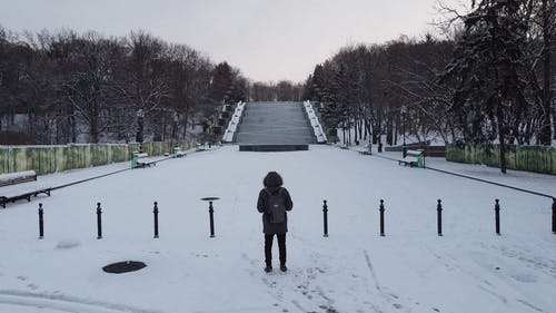 有关下雪, 下雪的, 人的免费素材视频