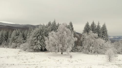 有关冬季, 天空, 山的免费素材视频