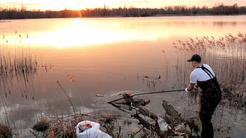 有关人, 冷静, 垃圾的免费素材视频