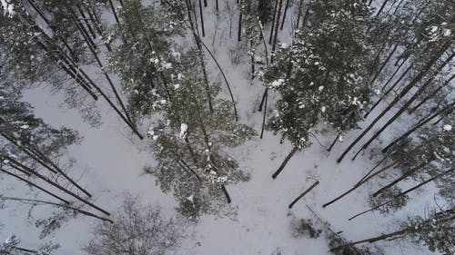 有关4k视频, 下雪的天气, 冒险的免费素材视频