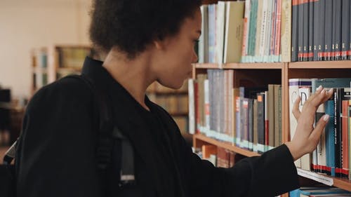 有关上网, 图书, 图书馆的免费素材视频