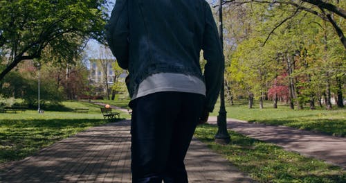 有关人, 公园, 夏天的免费素材视频