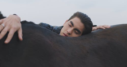 有关人, 动物, 爱的免费素材视频