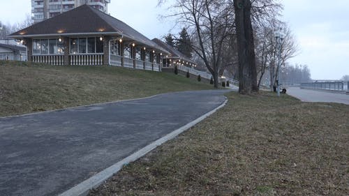 有关延时视频, 树木, 步行路径的免费素材视频