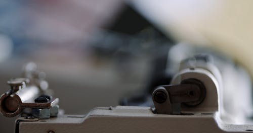 有关微距拍摄, 浅焦点, 特写的免费素材视频