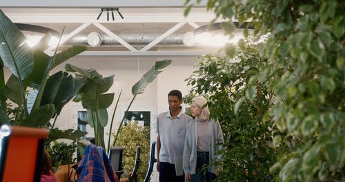 有关人, 创意办公室, 商业的免费素材视频