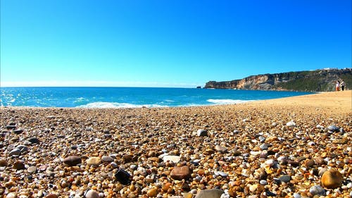有关天性, 天空, 招手的免费素材视频