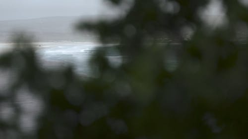 有关天性, 岸边, 水体的免费素材视频