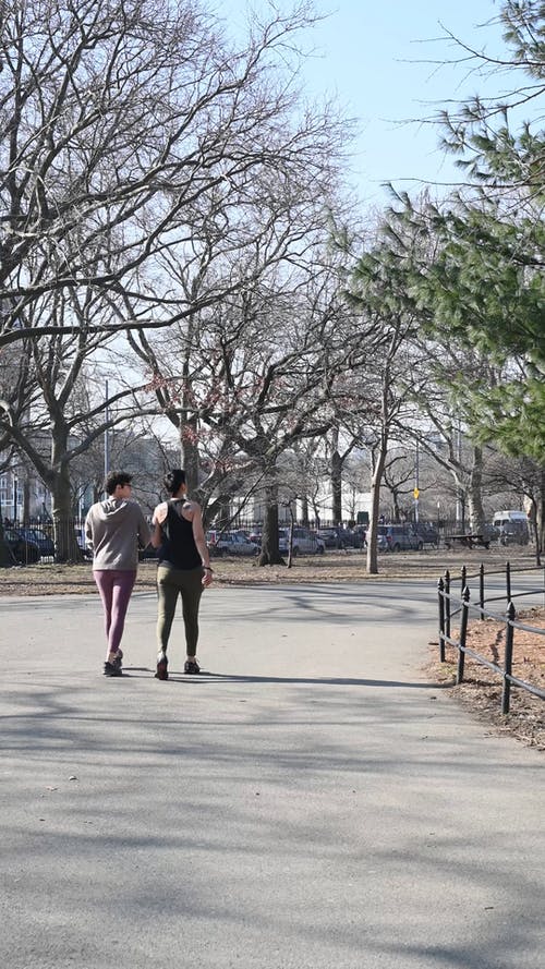 有关一起, 公园, 垂直视频的免费素材视频