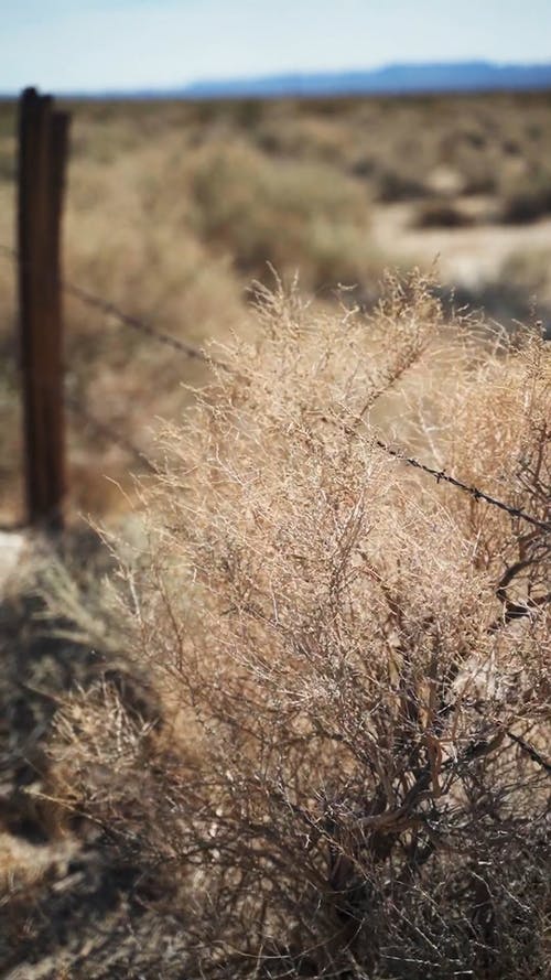 有关乾旱, 乾的, 半沙漠的免费素材视频