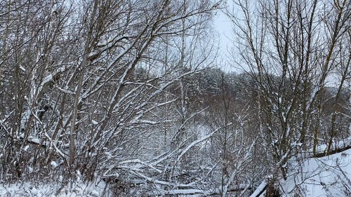 有关下雪的, 下雪的天气, 冬季的免费素材视频