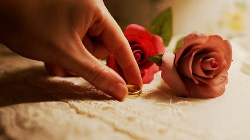 有关女性, 室内, 微妙的免费素材视频