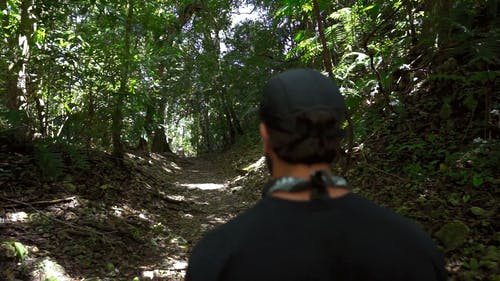 有关人, 健行, 后视图的免费素材视频