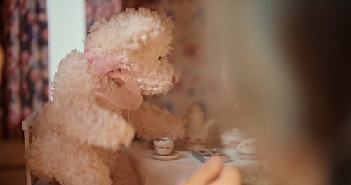 有关手, 播放, 特写的免费素材视频