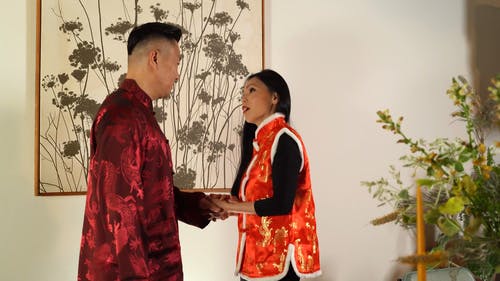 有关一对, 中国十二生肖, 中国家庭的免费素材视频