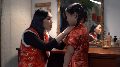有关中国传统, 中国十二生肖, 中国家庭的免费素材视频
