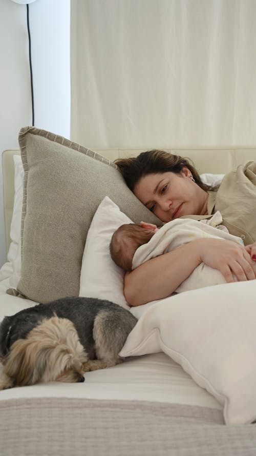 有关垂直视频, 女人, 孕妇的免费素材视频