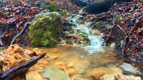 有关小溪, 岩石, 水的免费素材视频