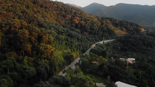 有关天性, 山, 景观的免费素材视频