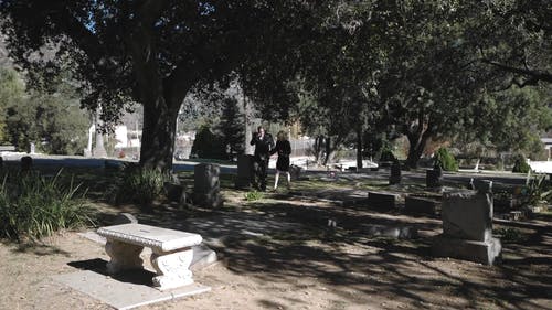 有关哀思, 墓园, 树木的免费素材视频