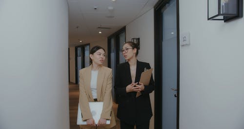 有关事业, 女性, 对话的免费素材视频