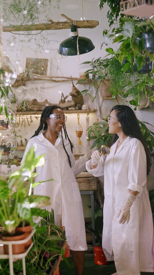 有关同事, 垂直视频, 女性的免费素材视频