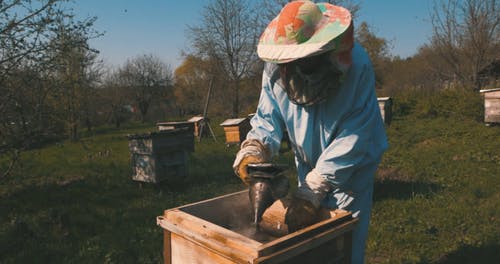 有关个人防护, 养蜂人, 天性的免费素材视频