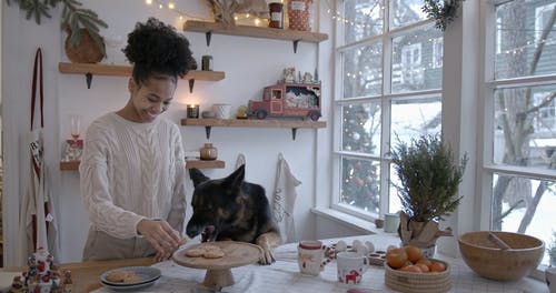 有关人, 人类最好的朋友, 假日季节的免费素材视频