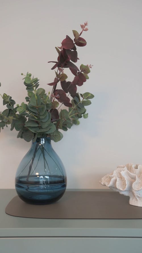 有关台面, 垂直视频, 基座射击的免费素材视频