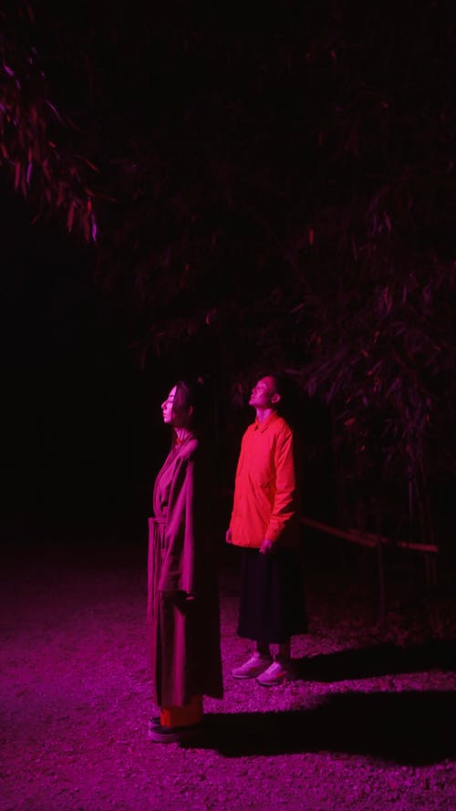 有关一对, 中景, 传统服装的免费素材视频