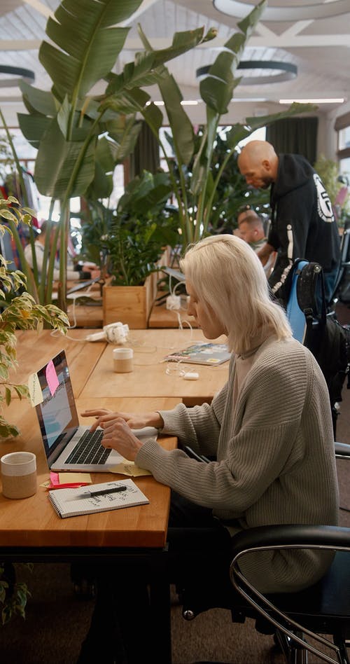 有关互联网, 企业家, 雇员的免费素材视频