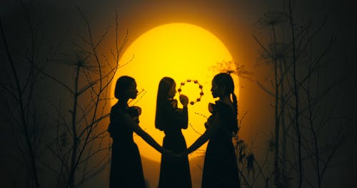 有关分支机构, 发抖, 工作室的免费素材视频