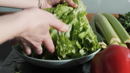 有关4k, 人, 健康的免费素材视频
