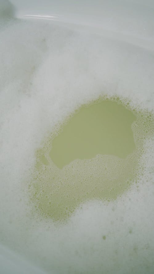 有关垂直视频, 宠, 水的免费素材视频