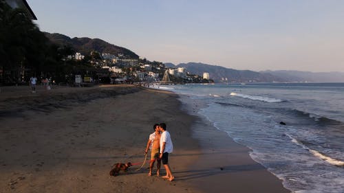 有关一对, 假期, 同志的免费素材视频