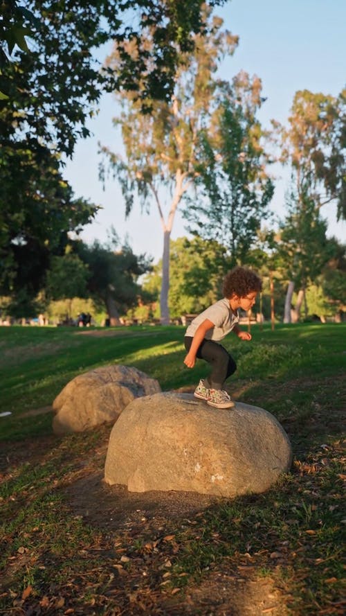 有关享受, 可爱, 垂直视频的免费素材视频