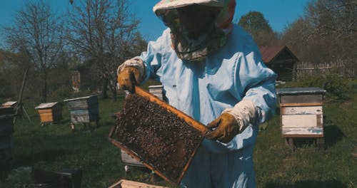 有关个人防护, 养蜂人, 天性的免费素材视频