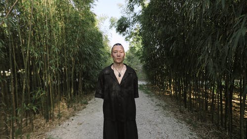 有关传统服饰, 公园, 和平的的免费素材视频