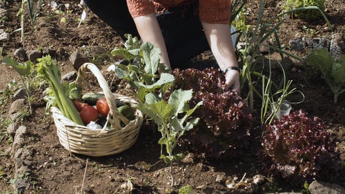 有关休闲活动, 健康的生活型态, 可持续发展的免费素材视频