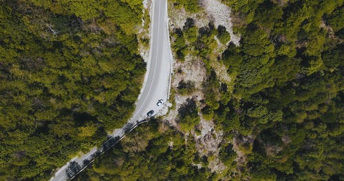 有关天性, 户外, 日光的免费素材视频