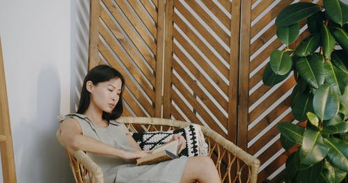 有关坐, 书, 装饰植物的免费素材视频