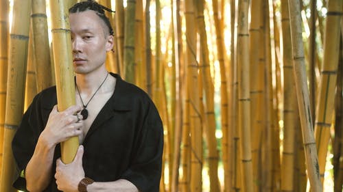 有关人, 传统服饰, 和服的免费素材视频