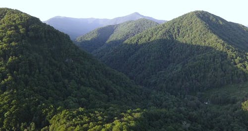 有关天性, 山, 树木的免费素材视频