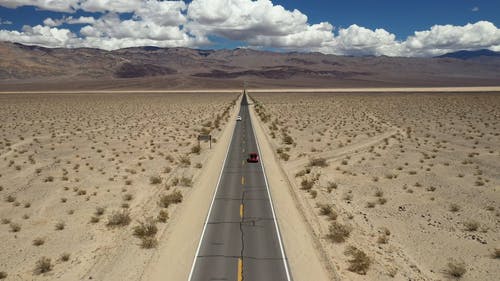 有关仙人掌, 公路旅行, 冒险的免费素材视频